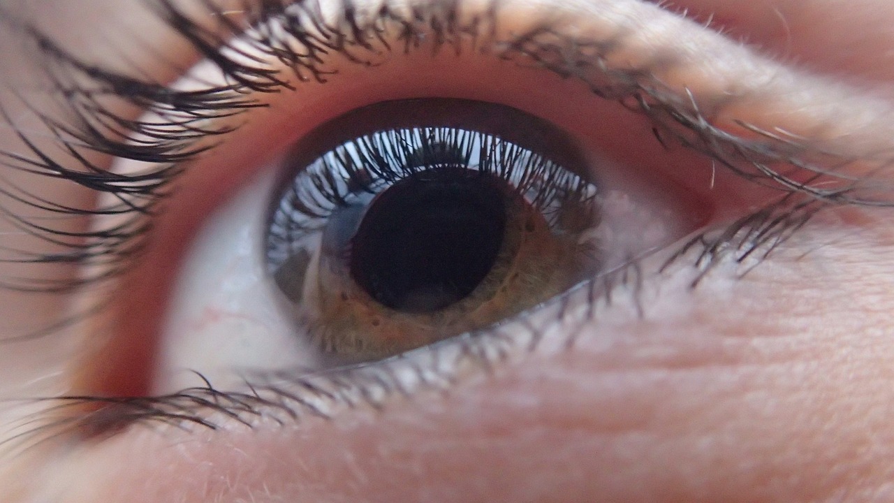 Dobre suplementy wspomagające wzrok – co warto wiedzieć?